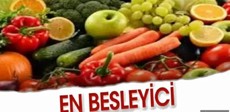 En besleyici 20 besin